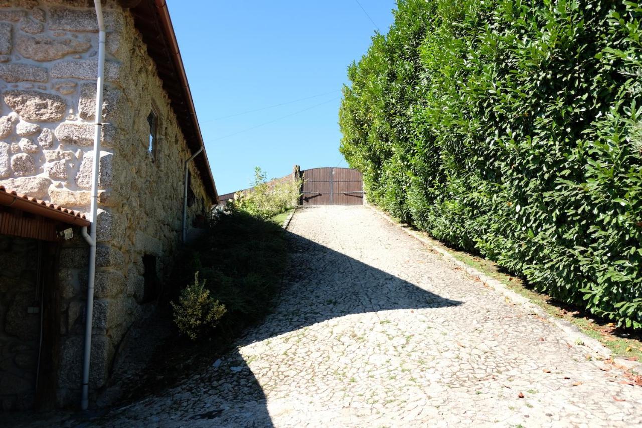 Casa Das Andorinhas Celorico De Basto Exteriör bild