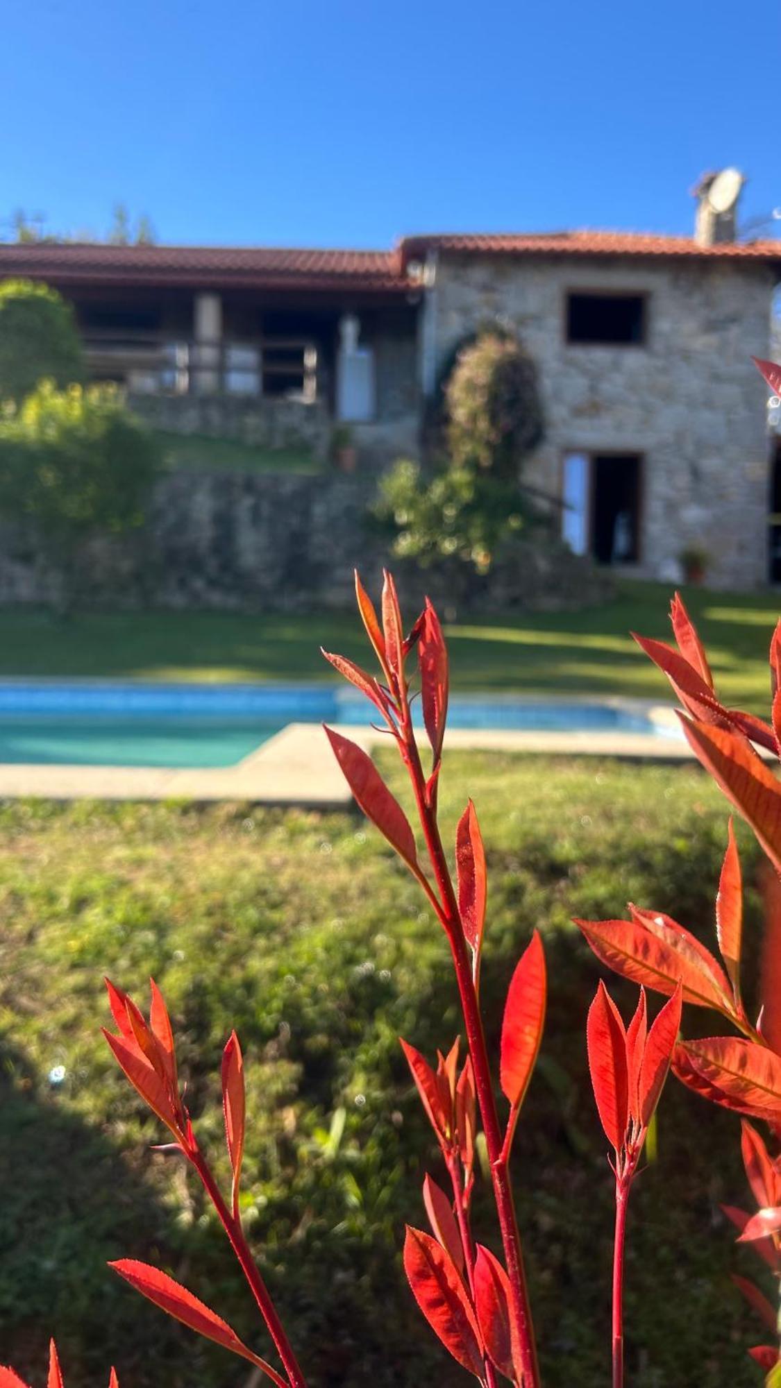 Casa Das Andorinhas Celorico De Basto Exteriör bild